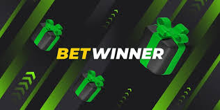 Discover the Thrills of Betwinner Casino