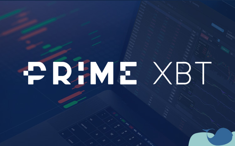 Understanding the Benefits of Trading on PrimeXBT Exchange Understanding the Benefits of Trading on PrimeXBT Exchange