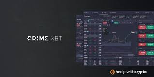 Discover the Benefits of Copy Trading on PrimeXBT Discover the Benefits of Copy Trading on PrimeXBT